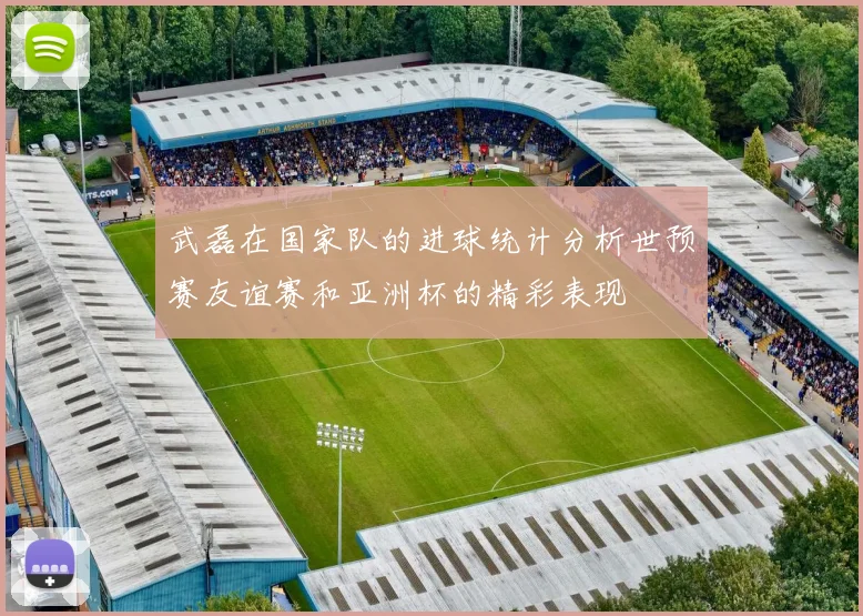武磊在国家队的进球统计分析世预赛友谊赛和亚洲杯的精彩表现